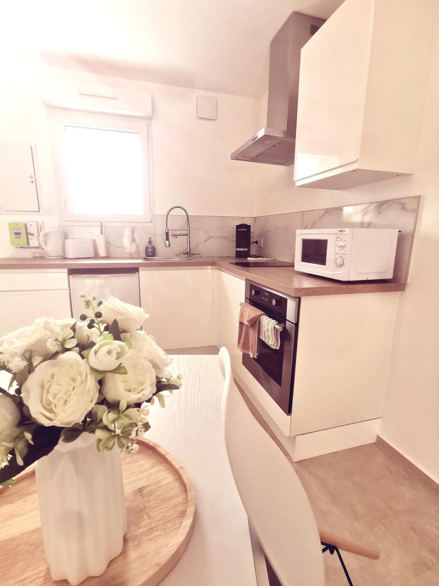 Magnifique Duplex Neuf Parking Et Terrasse Διαμέρισμα Ντολ Εξωτερικό φωτογραφία